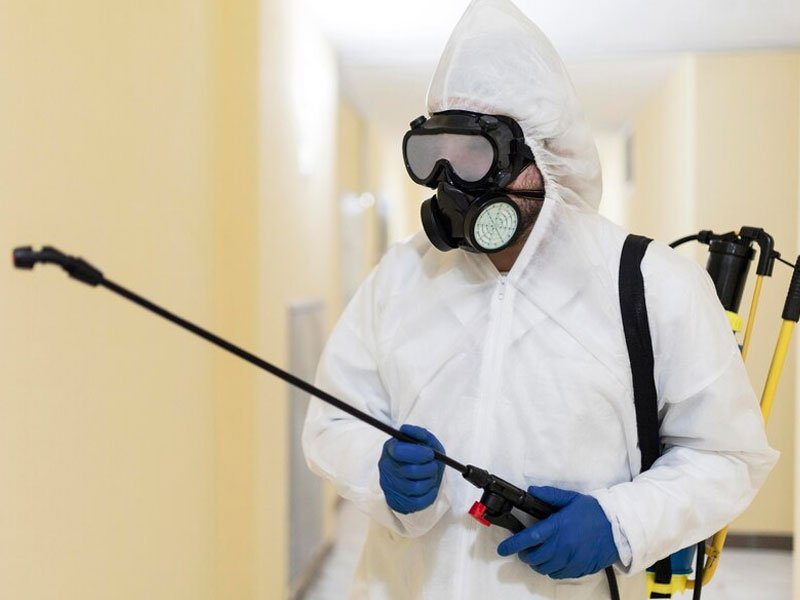 End of Lease Pest Control