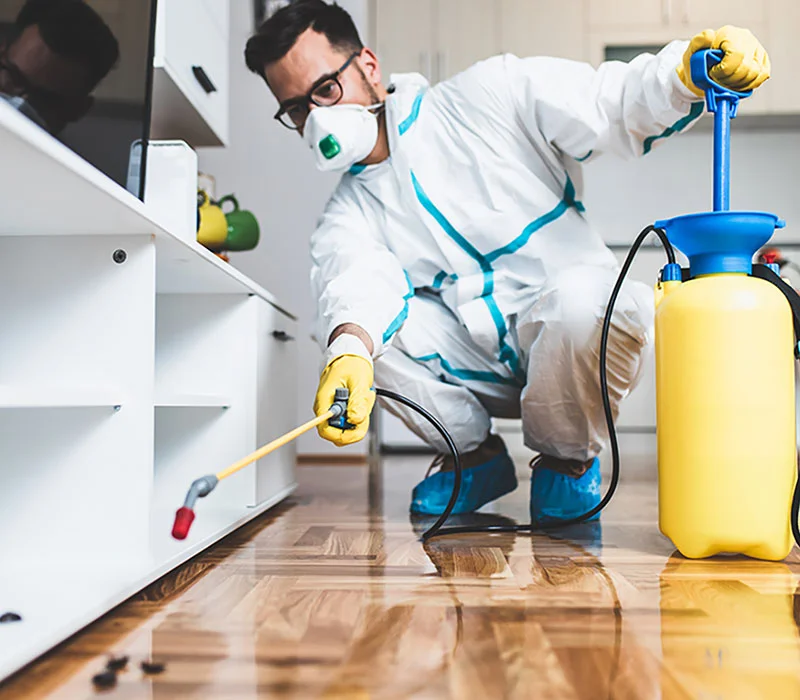 Strata Pest Control